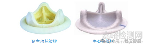全球首個！Foldax Tria 聚合物二尖瓣獲印度 CDSCO 批準，顛覆百年瓣膜治療格局