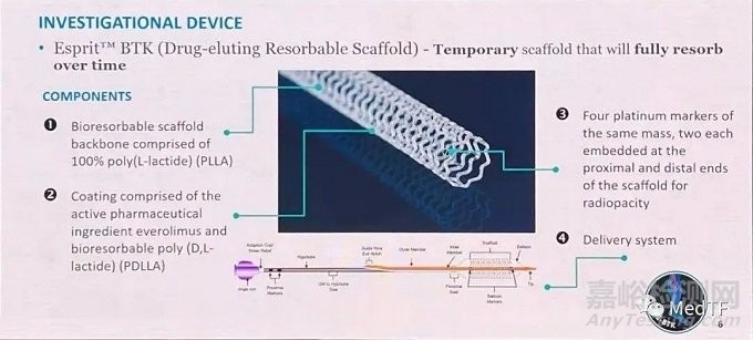 Esprit BTK：雅培可吸收支架獲CE批準上市