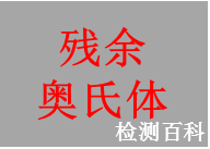 殘余奧氏體