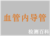 血管內導管