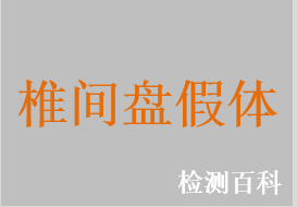 頸椎椎間盤假體，胸腰椎椎間盤假體