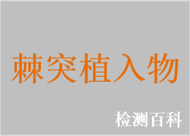 棘突間植入物