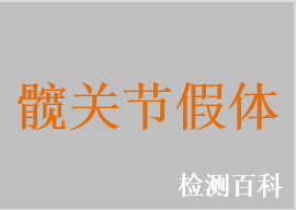 髖關節假體系統，髖關節假體，髖臼假體，髖關節股骨假體