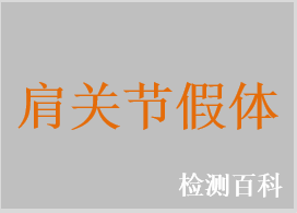 肩關節假體系統，肩關節假體，肩關節肩盂假體，肩關節肱骨假體