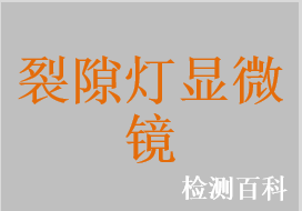 手持式裂隙燈顯微鏡，裂隙燈顯微鏡，眼科裂隙燈顯微鏡檢查儀，手持裂隙燈顯微鏡檢查儀，手持式裂隙燈，電動(dòng)對(duì)焦數(shù)碼裂隙燈顯微鏡系統(tǒng)