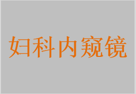 婦科內(nèi)窺鏡