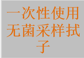 無菌樣本采樣拭子，一次性使用無菌微生物拭子，一次性使用無菌采樣拭子